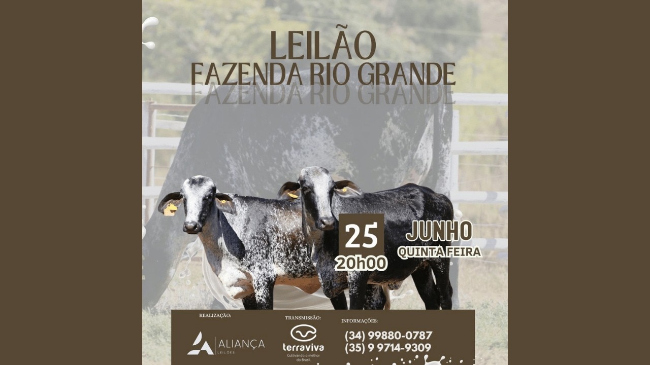 LEILÃO FAZENDA RIO GRANDE | 25/06/2026 – 20H