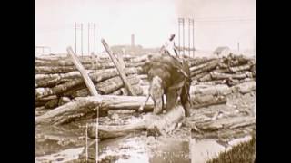 The Work of Elephants in India / Le Travail des Éléphants en Inde