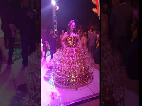 Renaissance Catering and Odd Monkey Events video.