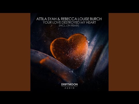 Your Love Destroyed My Heart (Radio Edit)