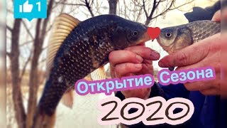 Когда открытие рыбалки на дону