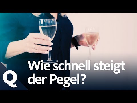 Alcohol experiment: How much can our subjects tolerate? | Quarks
