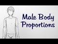 How To Draw Manga Male Body Proportions