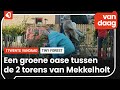 Tiny forest moet groene oase in Mekkelholt worden