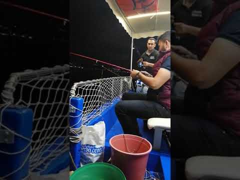 Beykoz Çinekop avı Video