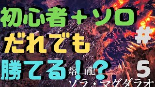 【MHW実況】ゾラ・マグダラオスは最弱で超簡単！？初心者ハンターが捕獲戦にソロ初見攻略に挑む！！【モンハンワールド実況】