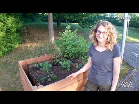 Werde Beetpate! - Unsere Pflanzentauschbörse