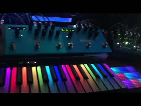 Modern DAW and Hardware Integration:LUMI, Seaboard, Strymon, Trilian, Omnisphere.