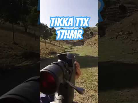 Tikka T1x rimfire rifles