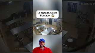 Leopardo foi Dentro do Barraco 😱