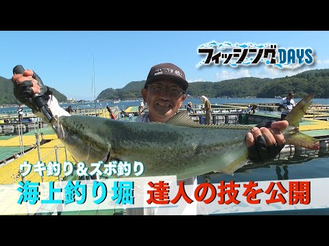 【フィッシングDAYS】#122 ウキ釣り＆ズボ釣り 海上釣り堀 達人の技を公開