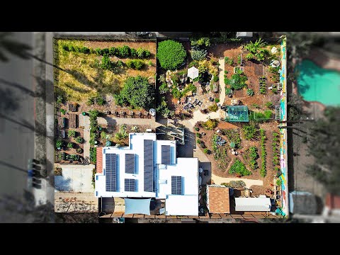 Garden With Me Starting Seeds Pruning Composting