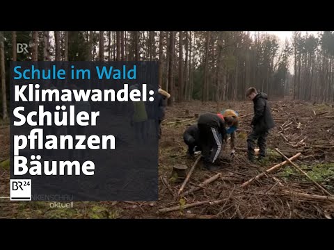 Forest instead of classroom: Students plant trees to combat climate change | BR24