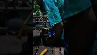 Download lagu latian saron #barongbanyuwangi #jaranan #barongan #jarananbanyuwangi #baronganjawa #saron mp3