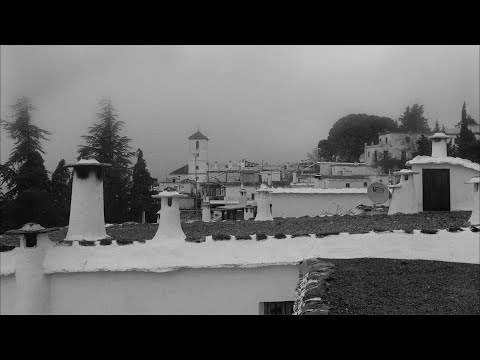 DELLAFUENTE - Si te lo comes, lo crías (Visualizer) | TORII YAMA