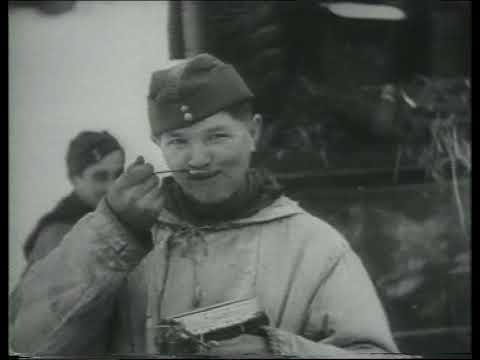 Csatamezők   Sztálingrádi csata