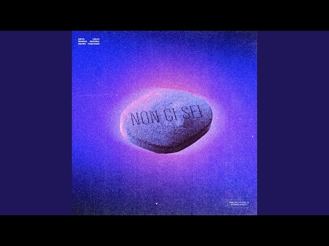 Non ci sei (Remix)