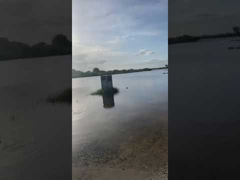 Alligator Attacks RC Boat in Florida Everglades || ViralHog