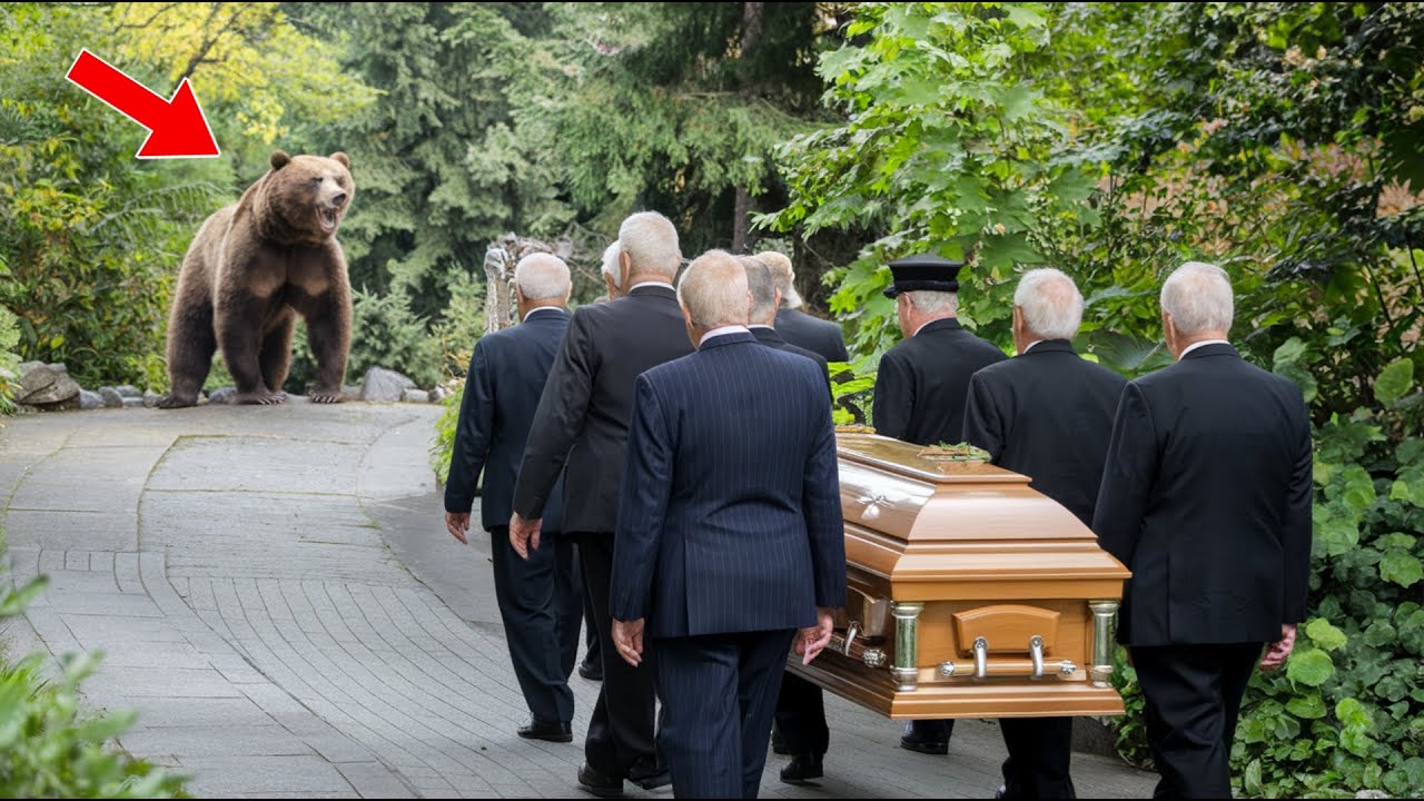 A Bear Invades a Funeral And Stops Them From Burying The Coffin—When It Shook, Everyone Turned Pale!