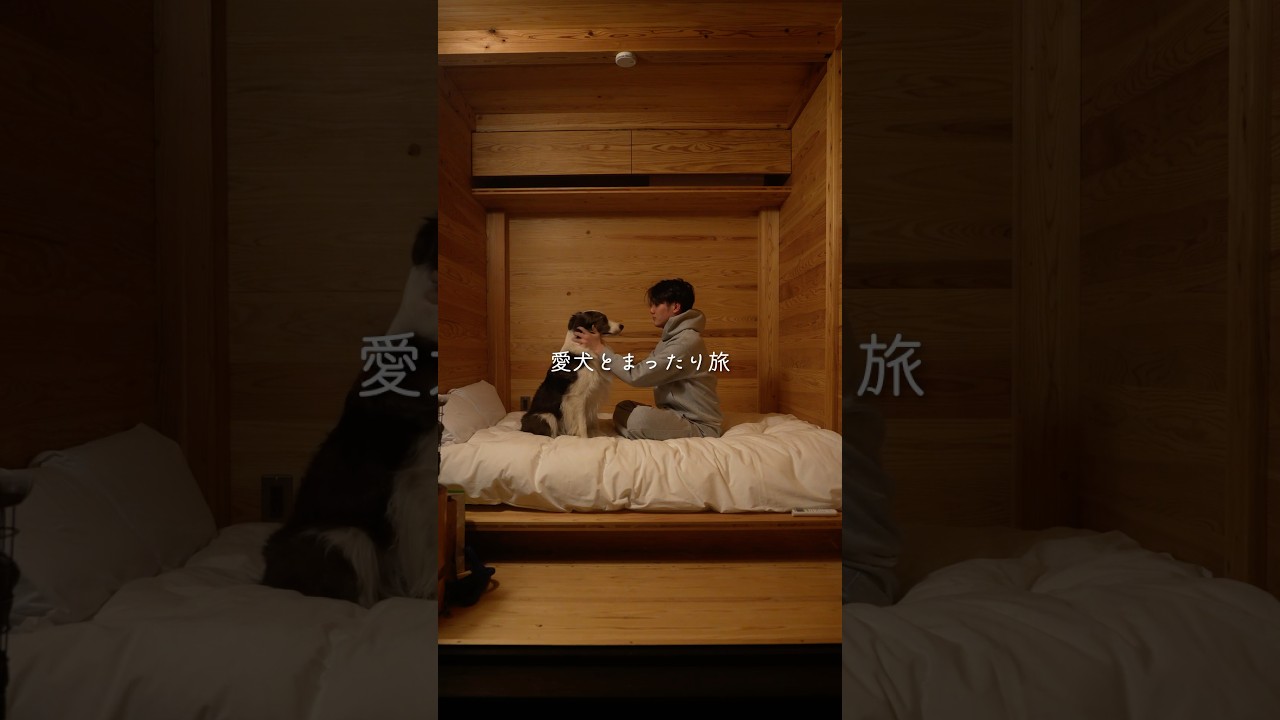 愛犬とまったり旅🐾