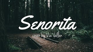 Download lagu Lirik Lagu Via Vallen - Senorita ( Shawn Mendes ft Camila Cabello ) [ cover Koplo Version ] mp3