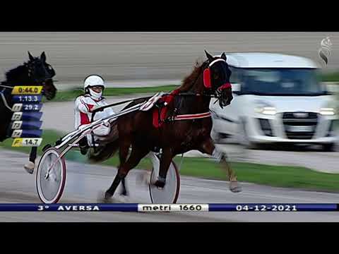 Aversa trotto 4 Dicembre 2021 - 3° Corsa