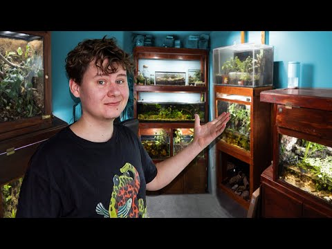 Complete Tour of The Animal Room 2024