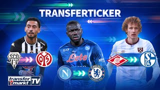 Koulibaly vor Chelsea-Wechsel / Mainz holt Fulgini / Schalke will Ex-PL-Profi Kral | TRANSFERMARKT