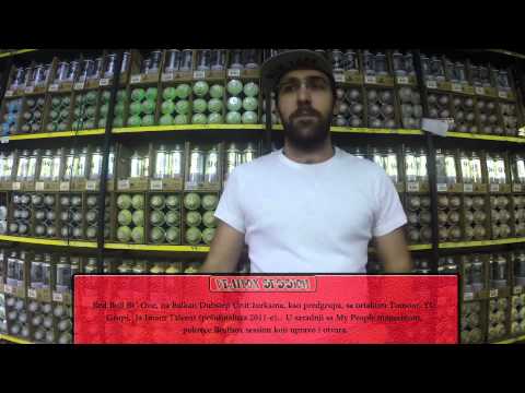 Beatbox Session 01 - Sick Prime