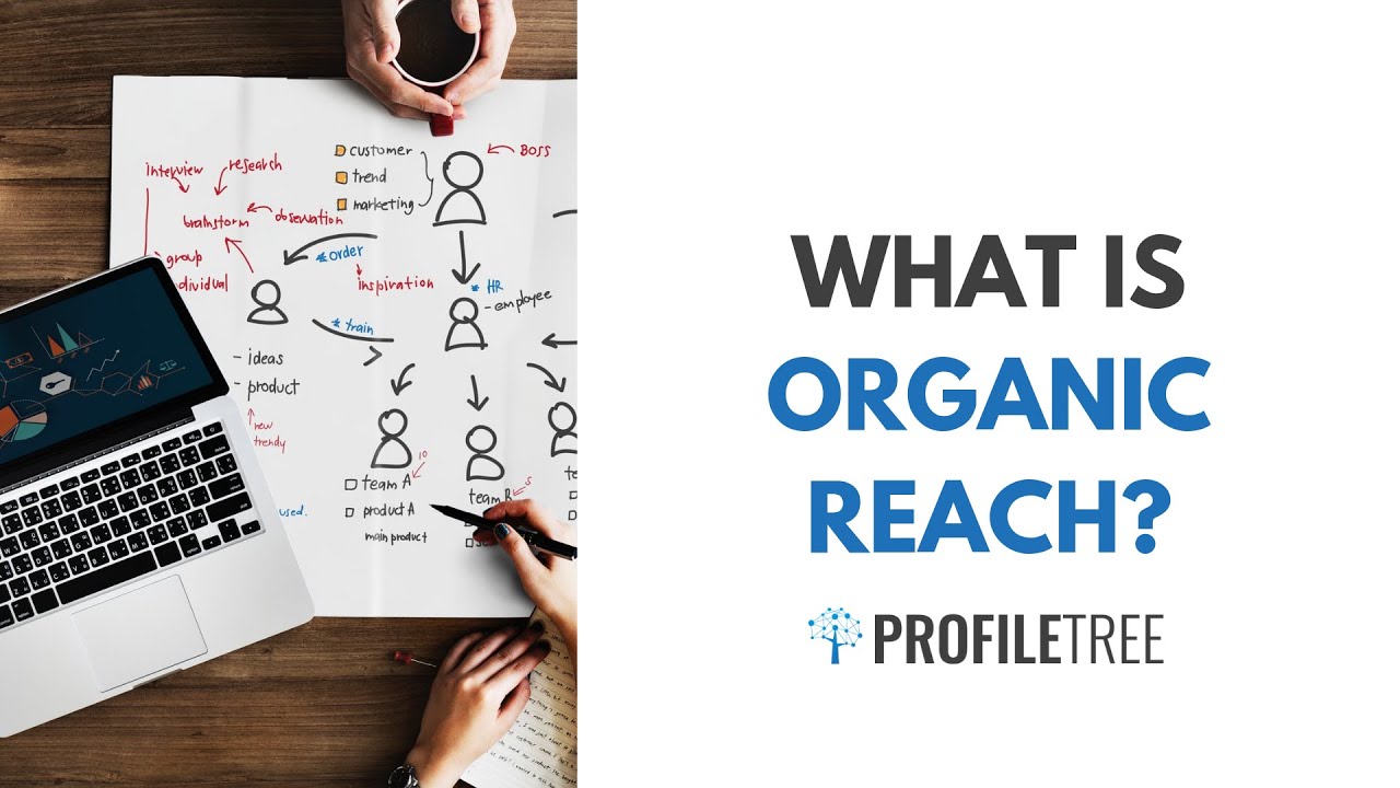 What Is Organic Reach? Organic Vs Paid