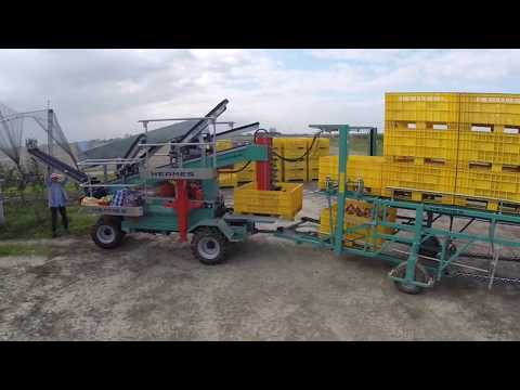 FRUMACO TECNOFRUIT Series / CF 105 / CF110 / FRUMACO Pluk-O-Trak