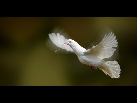 14 iunie 2015 Botez & Cristi Boariu