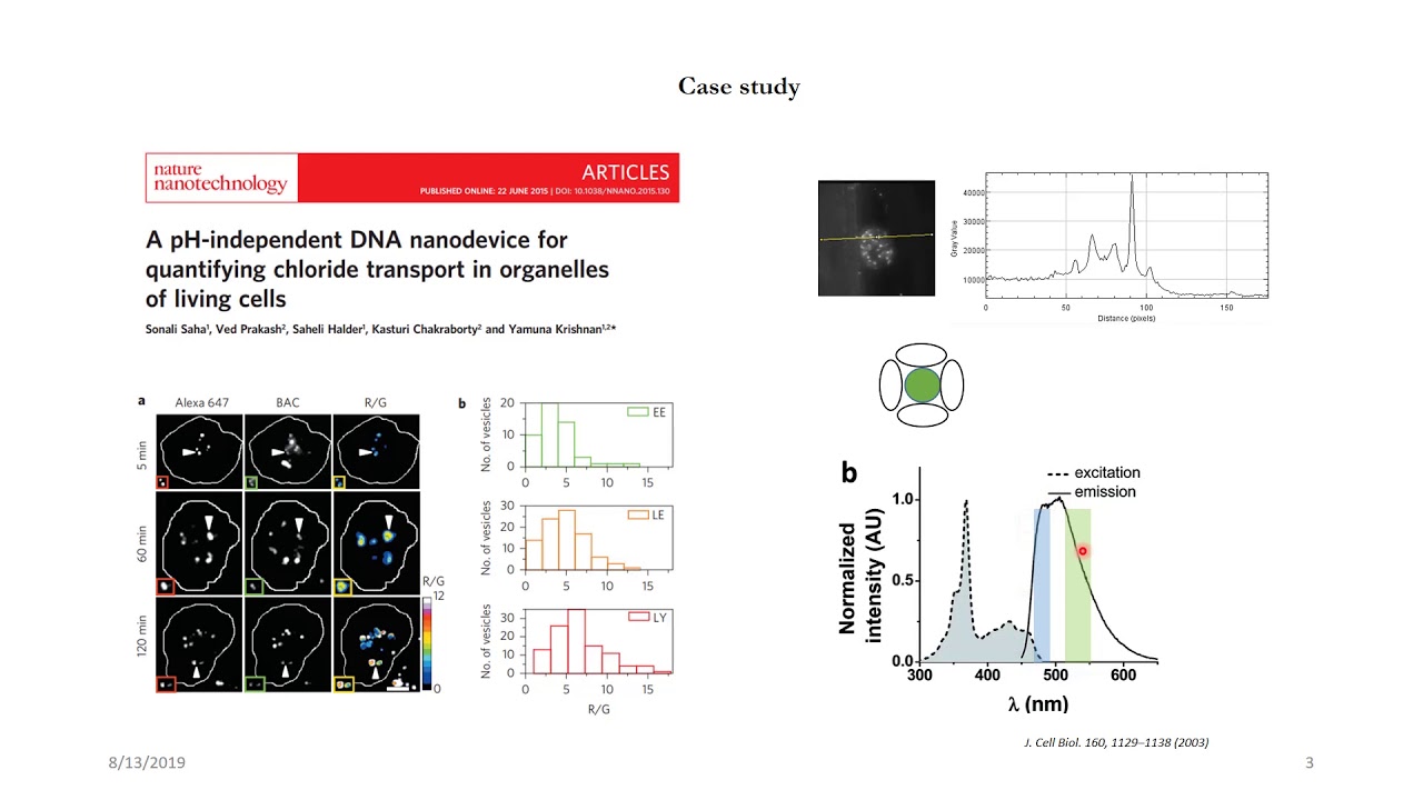 Module 1: Introduction to Image Processing Automation