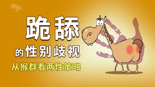 [問卦] 跪舔仔為何在鄙視鍊底層？