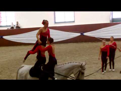 Juniorteam TEAM1 Rostock, LV Mecklenburg Vorpommern