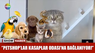 ''Petshop'lar Kasaplar Odası'na bağlanıyor!''