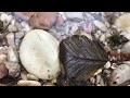 Guided Meditation Italy S Nera River