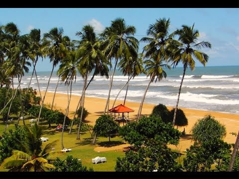 Райский остров Шри-Ланка. Что посмотреть, какой курорт и отель выбрать