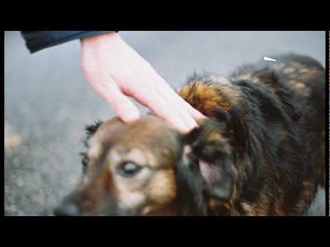 Christopher Scullion - broken