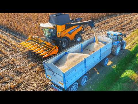 CORN HARVEST 2024 NEW HOLLAND CR REVELATION