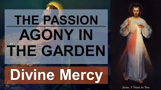 Passion of Christ  Part 1 — Agony in the Garden — Divine Mercy