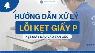 Kẹt giấy P đầu vào