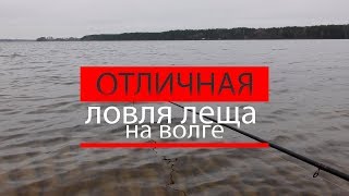 Ловля леща на нижней волге осенью