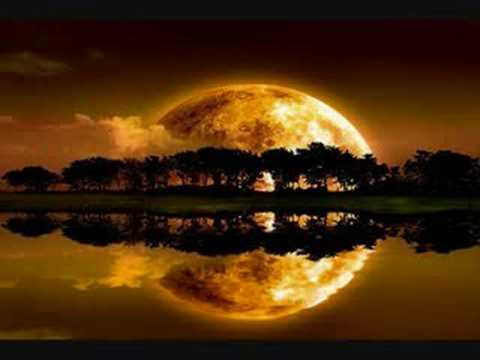 Euphoria ft Kristy - Future Is Now (Donut & Davidson Remix)