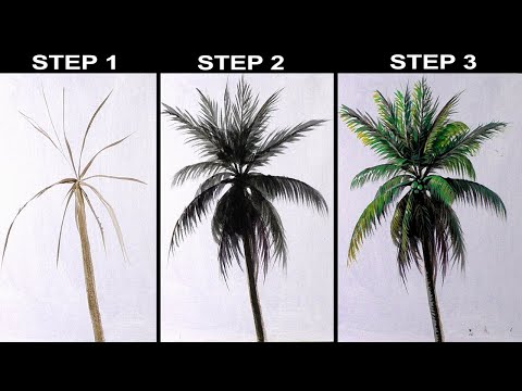 image-What are the two types of palm tree?