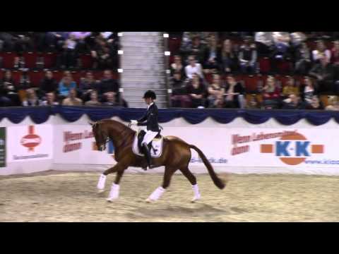 Viva Westfalia , Hengst von Vitalis x Fürst Heinrich  * 2012