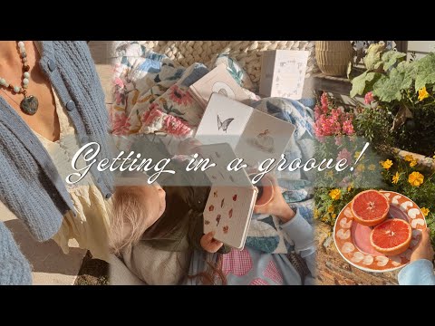 January days...🫖  tidying, harvesting, crafting, & creating healthy habits!