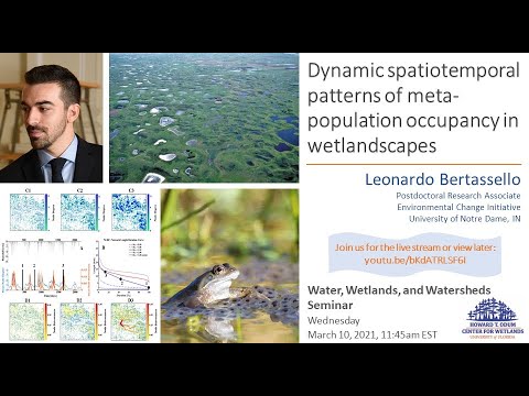 W3 Seminar: Dynamic spatiotemporal patterns of metapopulation occupancy in wetlandscapes