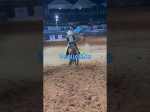 sou Vaqueiro de vaquejada