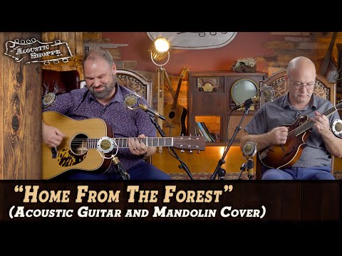 Eastman Made A Large Soundhole Dread! "Home From The Forest" Gordon Lightfoot - Tony Rice Cover